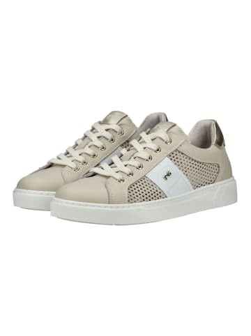 Nero Giardini Sneaker in Beige
