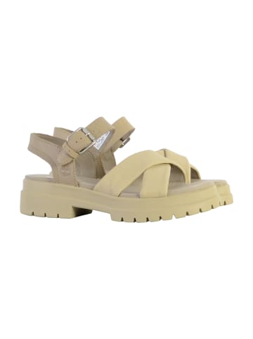 Timberland Bensimon-Schnür-Tennisschuhe Braun