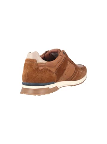 Camel Active Sneaker in Braun