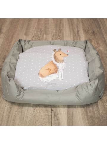 Mr. & Mrs. Panda Hundesofa Langhaar Collie Lebensretter ohne Spruch in Grau Pastell