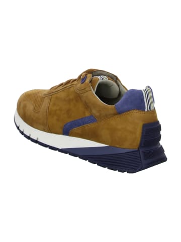 Pius Gabor Sportliche Schnürschuhe in Braun