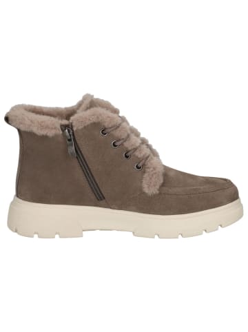 Caprice Stiefelette in DK TAUPE SUEDE