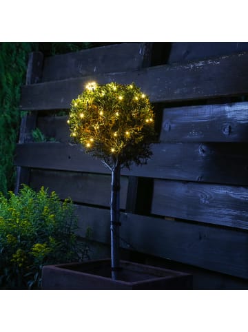 MARELIDA LED Lichternetz für Buchsbaum mit Blinkfunktion D: 35cm in transparent