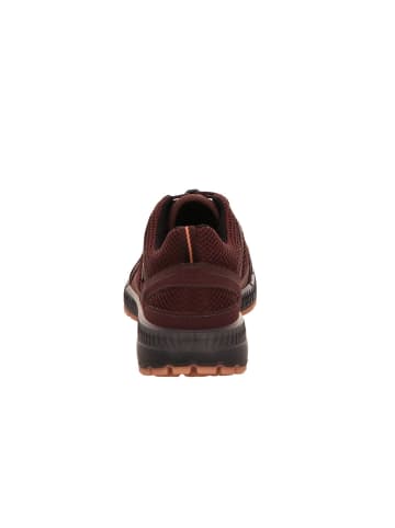 Ecco Lowtop-Sneaker Terracruise II in fig/fig