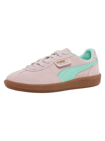 Puma Puma in rose