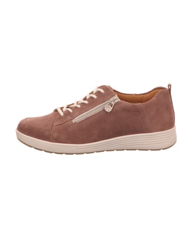 Ganter Schnürschuhe in rose