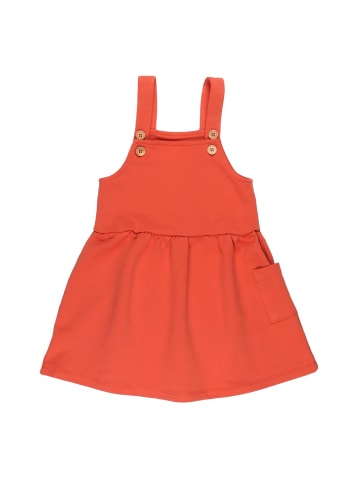 Walkiddy Kleid Langoustine - Dress