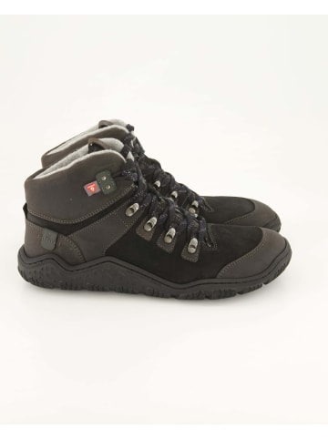 KOEL Schnürstiefeletten in Schwarz