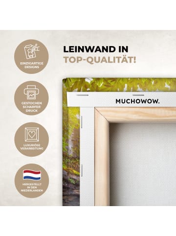 MuchoWow Leinwand bilder Sonniger Wasserfall (BxH)