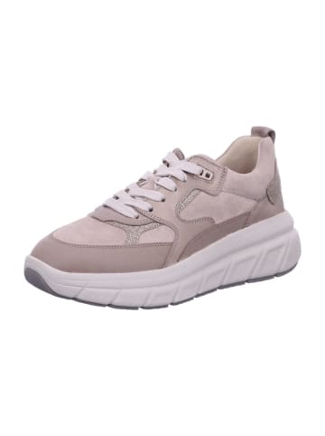 Gabor Damen- Schnürschuhe  in Beige