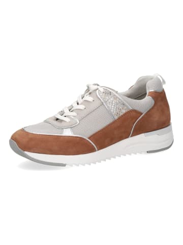 Caprice Sneaker in Braun/Grau