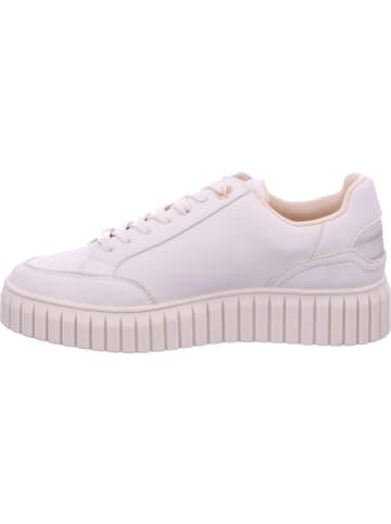 s.Oliver Schnürschuhe in BEIGE