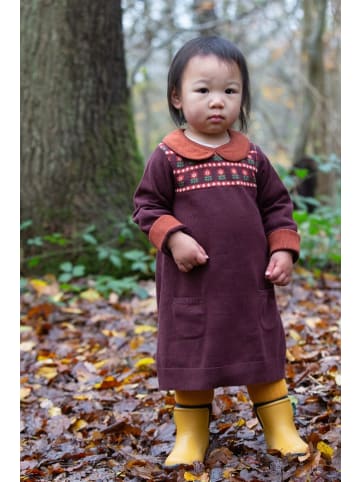 Little Green Radicals Bio-Strickkleid mit Kragen in Braun