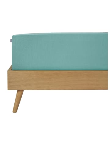 Schiesser Edeljersey-Spannbettlaken Jessi in Mint