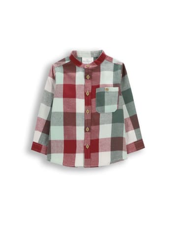 Coccodrillo Langarmhemd in bunt