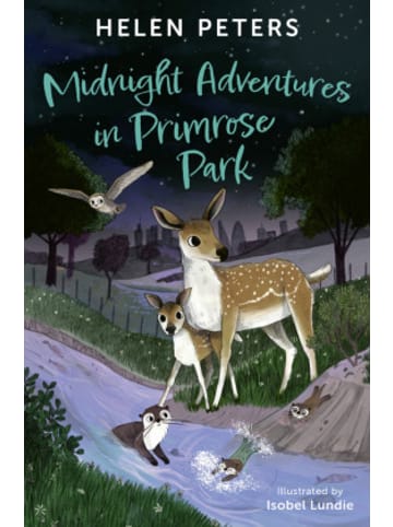 Collins Learning Buch - Midnight Adventures in Primrose Park