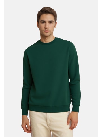 Only&Sons Sweatshirt 'Ceres' in grün