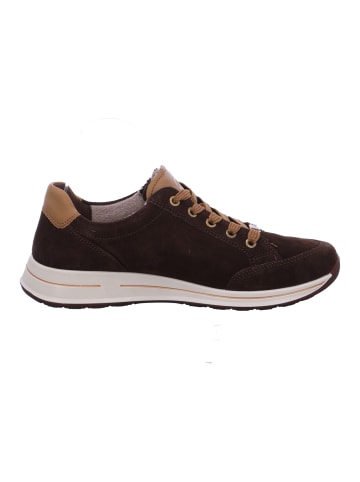 Ara Shoes Schnürer Osaka 2.0 in Braun