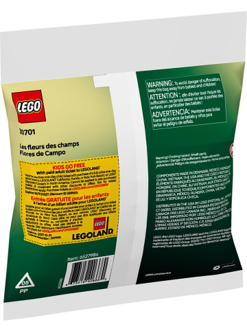 LEGO Icons Botanicals – Feldblumen Deko-Set in multicolored