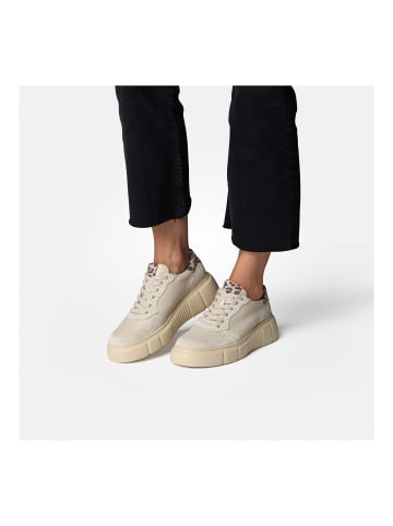 Paul Green Sneaker in Beige