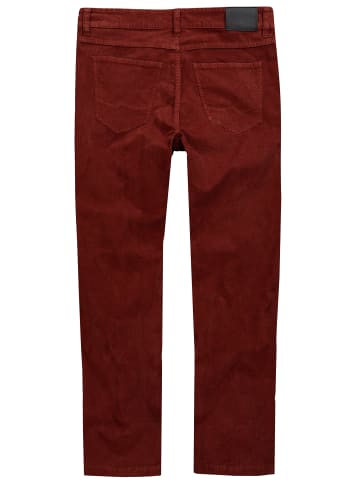 Men Plus Chino in sandelholz