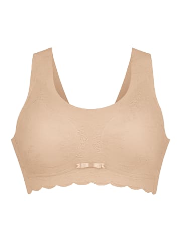 Anita Bralette Essential Lace in Desert