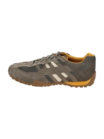 Geox Sportliche Schnürschuhe in Braun