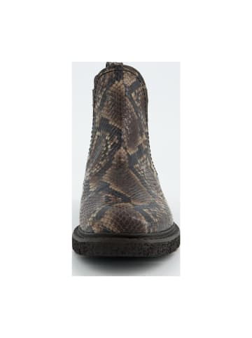 Paul Green Chelsea Boots in Braun