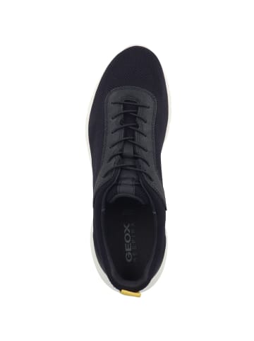 Geox Sneaker low U Monreale A in dunkelblau