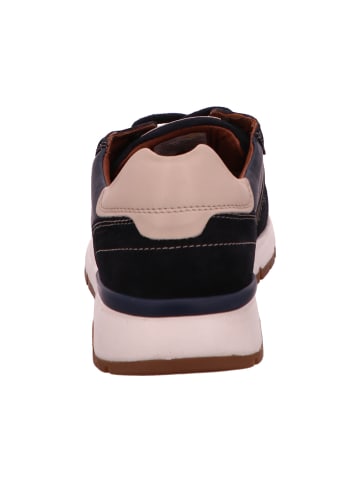 Camel Active Sneaker in blau