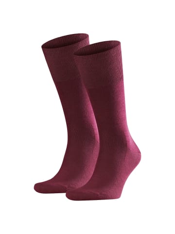 Falke Socken 2er Pack in Barolo (8596)