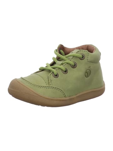 VADO  Jungen- Halbschuhe CHUCK LACE in Grün