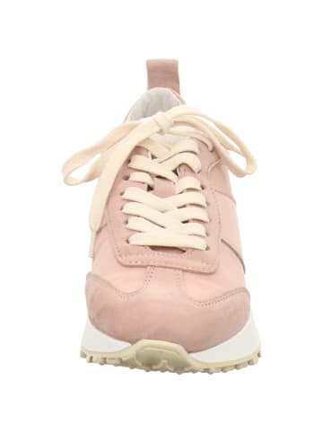 Apple of Eden Sneaker Low in rosa