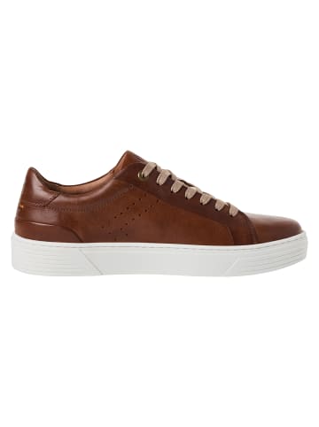 Marco Tozzi MT SPORT Sneaker in cognac
