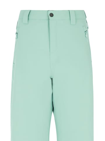 Protest " PRTSTERIO JR in Green Baygreen