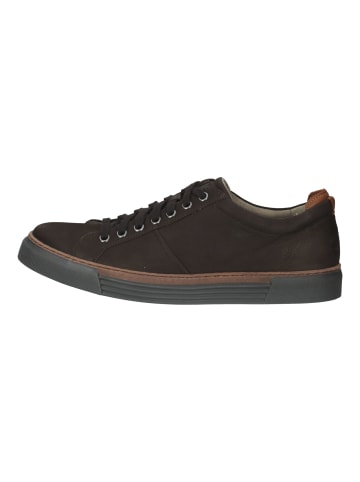 Pius Gabor Sneaker in Mocca