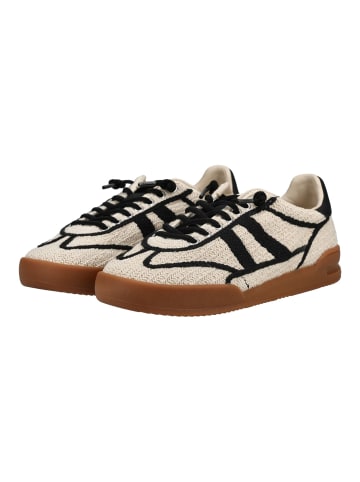 Steve Madden Sneaker in Beige/Schwarz