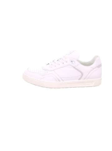 Sioux Sneaker für Herren in uni