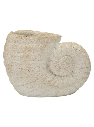 Mauro Ferretti Beige Keramikvase in Muschelform, 33 x 19 x 23 cm