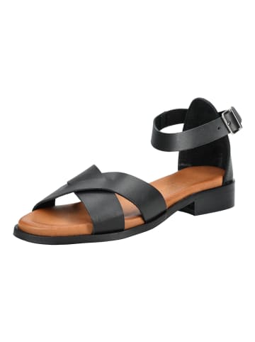 Pavement Sandalen in Schwarz/Braun