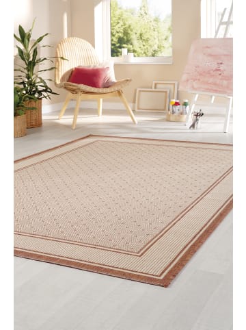 Peyer-Syntex 1 Teppich Clara Bordüre Fb.terra 120/170 cm in terra