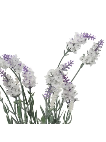 Home&Styling Collection Künstlicher Lavendel im Topf in Hellblau, 40 cm