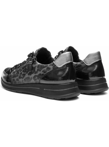 ara Sneaker für Damen in graphite