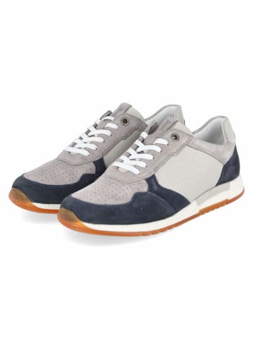 Sioux Low Sneaker ROJARO in grau