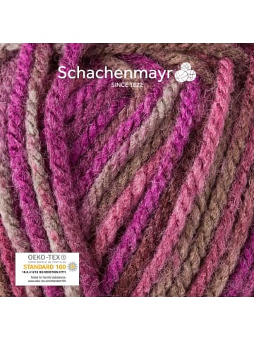 Schachenmayr since 1822 Handstrickgarne Bravo Color, 50g in Beere