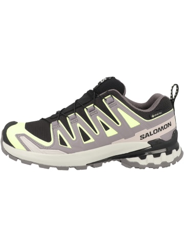 SALOMON Laufschuhe XA PRO 3D V9 GTX in schwarz