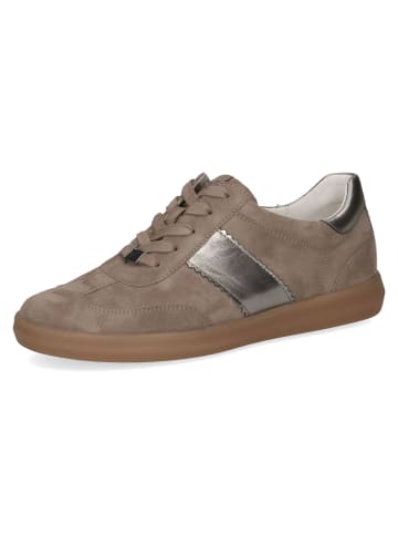Caprice Schnürschuhe in mud comb
