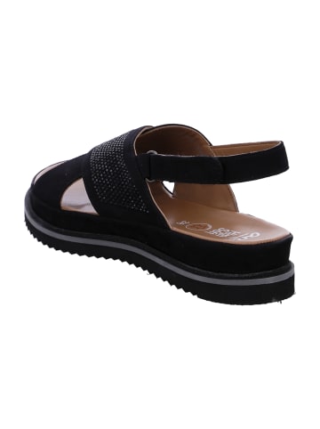 ara Komfort Sandalen in Schwarz