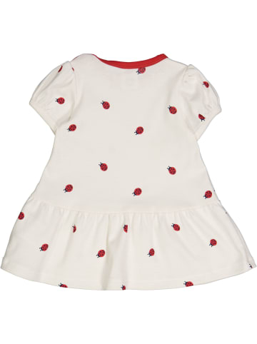 müsli Babykleid in cream/red/blue