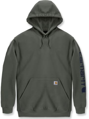 CARHARTT  Pullover "K288" in Grün